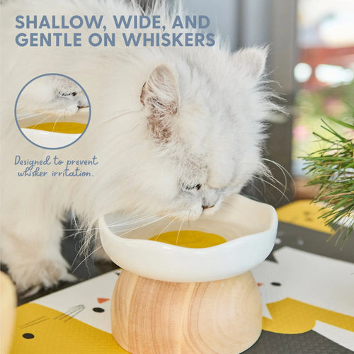 Charming Egg-Shaped Elevated Ceramic Cat Bowl for Stylish Dining