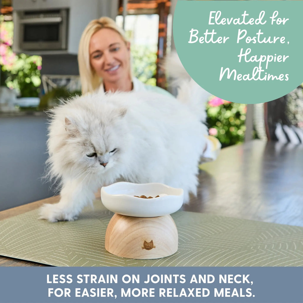 Charming Egg-Shaped Elevated Ceramic Cat Bowl for Stylish Dining