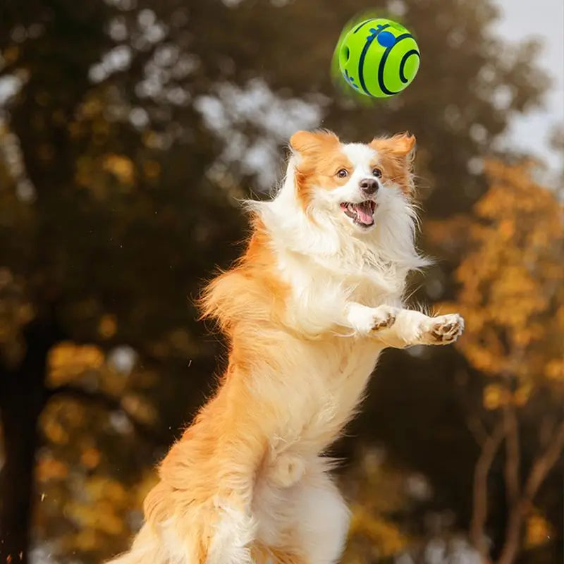 Ultimate Gift for Your Furry Friend: Durable Squeaky Dog Training Ball for Endless Indoor & Outdoor Fun