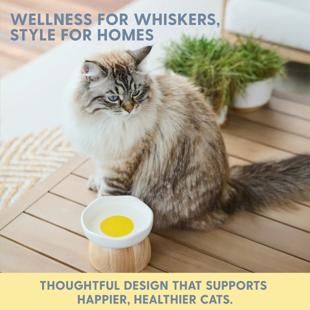 Charming Egg-Shaped Elevated Ceramic Cat Bowl for Stylish Dining