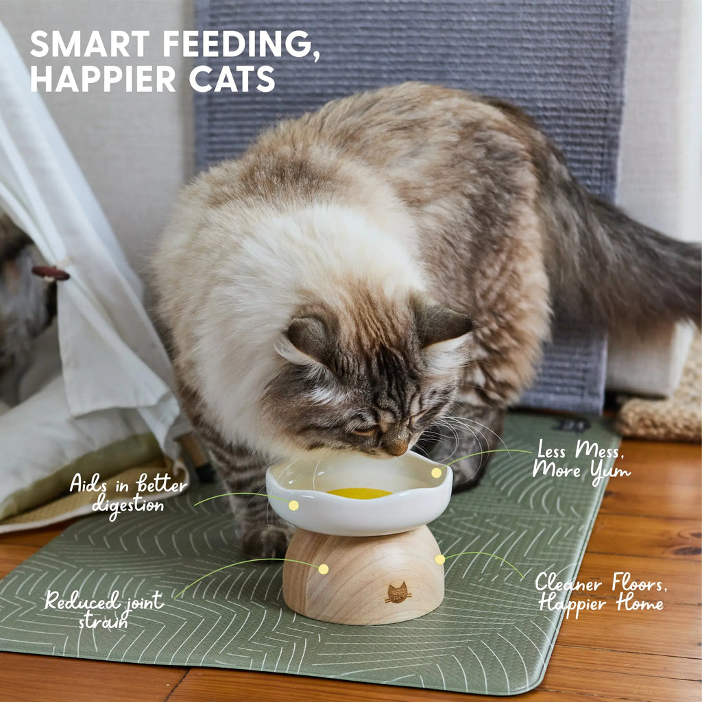 Charming Egg-Shaped Elevated Ceramic Cat Bowl for Stylish Dining
