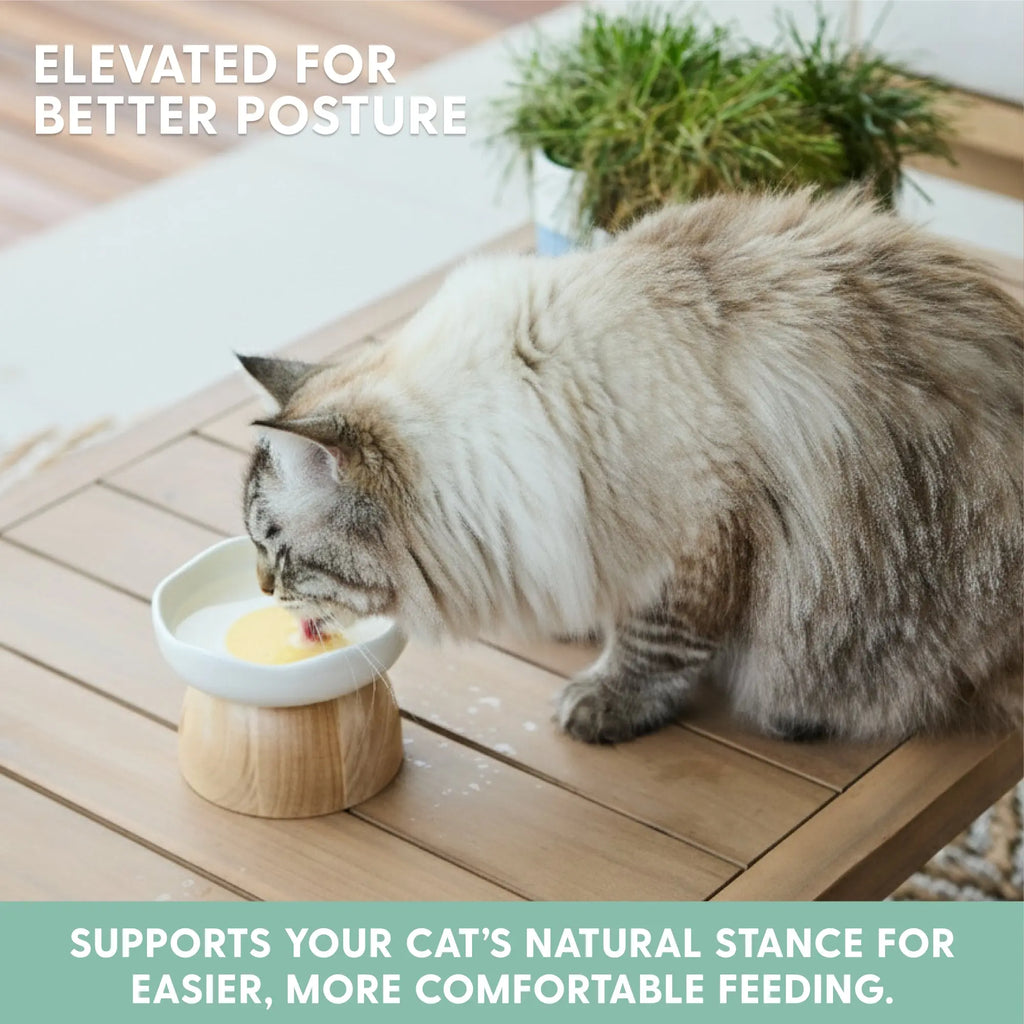 Charming Egg-Shaped Elevated Ceramic Cat Bowl for Stylish Dining