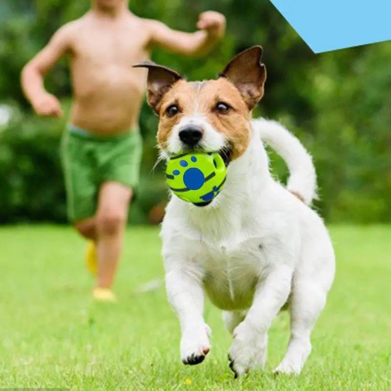 Ultimate Gift for Your Furry Friend: Durable Squeaky Dog Training Ball for Endless Indoor & Outdoor Fun